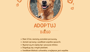 Adoptuj psa