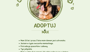 Adoptuj psa